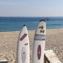 강릉아기동물농장 이미지