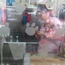 프로펫 애견샵 이미지