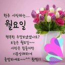 ⚘️흐르는 강물처럼⚘️ 이미지