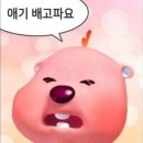 더큰스카이 피시타운 | I ♥ SYD (3)