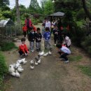 도리원초등학교 병설유치원 이미지