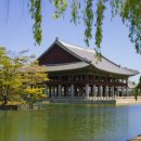 KJ행정사사무소 이미지