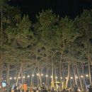 탑아일랜드 이미지