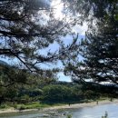 카페뷰리 | 부산근교 캠핑장 추천 [산청 캠프627] 산청캠핑장
