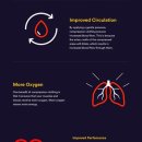 마레나코리아 이미지