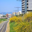 천안천9길 이미지