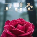 고맙소 - 달서구 | 고맙소