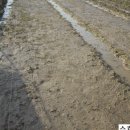 김진근농장 이미지