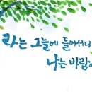 다새김 이미지