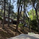 금련산 청소년 수련원 | 2026년 금련산청소년수련원 가족야영캠프 솔직후기