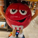현대싱싱마트 이미지