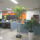 세정세무회계사무소 이미지
