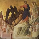 나라축사 이미지