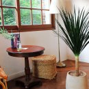 마포농원 이미지