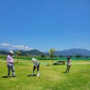 파크골프 이미지