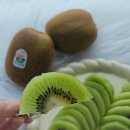 푸르름 | 재고 없는 진짜 온라인 과일 맛집 푸르름 키위 구매 후기