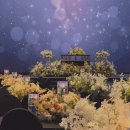 다다네 묭실 | 👰‍♀️Wedding EP5. 본식후기(전주 그랜드힐스턴호텔, 그레이스홀), 꿀팁?