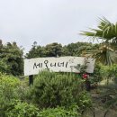 성산약국 | 제주도 동쪽 숙소 성산 세오니네민박 내돈내산 가격 조식 제주 감성 숙소