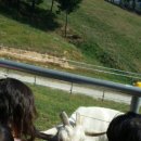 신동목장 이미지