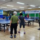 유성구 댄스스포츠 대전일보