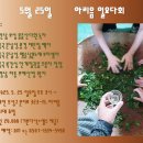 아리음 이미지