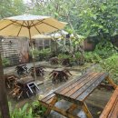 드리머비 이미지