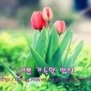 (주)동우농산