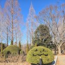 경상남도산림박물관 | 마산. 진주 근처 아이와 가볼만한 곳｜경남산림박물관 나들이 후기