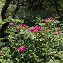 노적봉공원 이미지