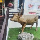 봉곡동224 이미지