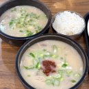 호야돼지국밥 | 부산역국밥 맛집 [경주국밥] 초량동 돼지국밥 점심 추천