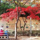 목동동로1길 이미지