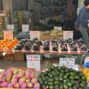 영은다방 | 5月 : 한순간 신기루 같은 환상이라 해도