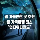 [괌여행/가볼만한곳] 괌 아쿠아리움, 괌 투몬비치 가볼만한 곳, 괌 실내 가볼만한 곳 &#39;언더워터월드...