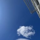 일편댕심 이미지