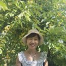 영국 대표 정원 위즐리 최적 방문 시기와 솔직 후기