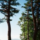 오지영농조합법인 이미지