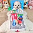 바르댕 | 강아지 노즈워크 장난감 추천 어답트미 댕댕약국 후기