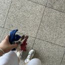 닭발CLUB 이미지