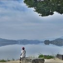 양서면 자전거 도로(두물머리길우측) | 양평 두물머리 산책(두물머리 주차, 핫도그, 연꽃 개화상황)