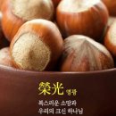 리젠트공인중개사사무소 이미지