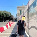 레체플러스 이미지