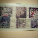 대구향토역사관 이미지