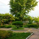 쌍림면사무소 이미지