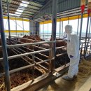 이주호농장 이미지