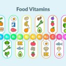 트리짐 트리태닝 이미지