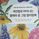 (신규)보태니컬 아트 초급 | 색연필로 피어나는 열매와 꽃 컬러링북 리뷰｜보태니컬 아트 입문자에게 추천
