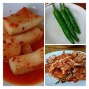 치바우뼈다귀 이미지