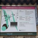 서예(야간) 이미지