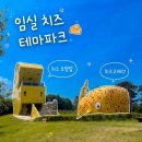 임실 치즈 테마파크 - 키즈카페, 롤라이더에서 장미원까지, 아이랑 가볼만한곳